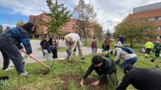 Voluntariat de medi ambient plantant arbres i arbustos al campus de la UAB.